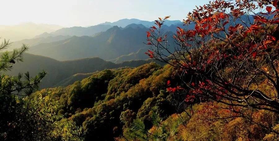 生态丨科学整治,还绿于民