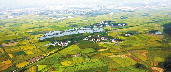 农村土地改革：新《土地管理法》亮点解读