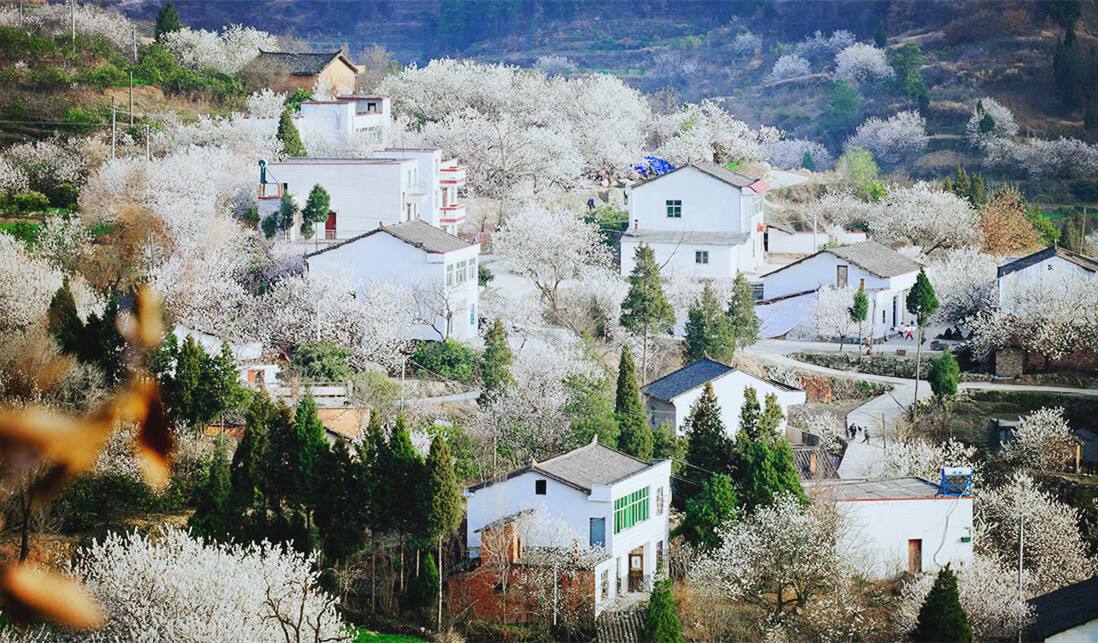 农行1000亿支持全国乡村旅游重点村建设！